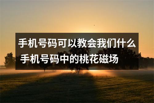 手机号码可以教会我们什么 手机号码中的桃花磁场