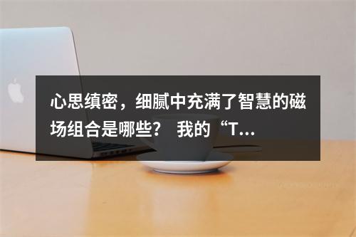 心思缜密，细腻中充满了智慧的磁场组合是哪些？  我的“TA”又回来了！